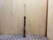 Stoßdämpfer hinten rechts VW POLO (6R, 6C) 1.2 6R0513025