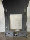 Dachverkleidung BMW X5 (E70) xDrive 40 d 205834PB
