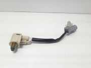 Kabelbaum Toyota Picnic (XM1)