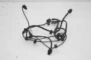 Kabelbaum Hinteren Parksensoren NISSAN QASHQAI / QASHQAI +2 I (J10, JJ10) 2.0 24017JD00A