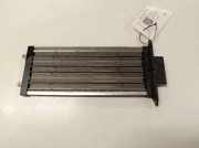 Elektrischer Schulterschulterkühler OPEL ANTARA 2.0 CDTI 06T230S0621 2009501