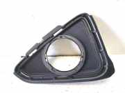 Nebelscheinwerferverkleidung TOYOTA RAV 4 IV (_A4_) 2.0 4WD (ZSA44_) 5203042050