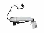 Türaußengriff links FORD S-MAX 2.0 EcoBlue AG9T14A631