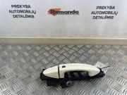 Türaußengriff links FORD ECOSPORT 1.5 TDCi 8A61A224A37