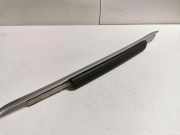 Andere Teile des Innenraums MERCEDES-BENZ GL (X164) GL 450 4-matic (164.871) A1646800870