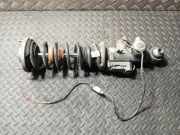Stoßdämpfer hinten links BMW 6 Coupe (F13) 650 i 37126850963 6850963