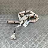 Dach SRS rechts MAZDA CX-5 (KE, GH) 2.2 D SH12-70V718