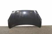 Motorhaube NISSAN MICRA IV (K13) 1.2 B20