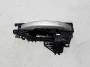 Türgriff links Audi Q5 (8R)