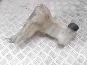 Ausgleichsbehälter RENAULT LAGUNA Coupe (DT0/1) 3.0 dCi (DT03) 217100014R