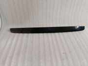 Kennzeichenbeleuchtung VOLVO S40 II (MS) 2.0 D 08663726