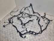 Kabelbaum Ford Kuga II (DM2) MX6T14B562