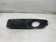 Gitter vorne unten VOLVO V70 III (BW) D5 30678640