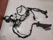 Kabel Tür Opel Insignia A (G09) 13264922