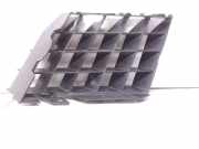 Vorderer oberer Gitter RENAULT VEL SATIS (BJ0_) 3.0 dCi (BJ0J, BJ0N)