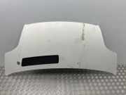 Motorhaube NISSAN PRIMASTAR Furgon (X83) 2.5 dCi 150