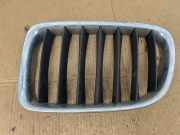 Vorderer oberer Gitter BMW X1 (E84) xDrive 20 d 2993305