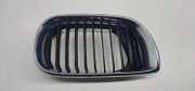 Vorderer oberer Gitter BMW 3 Touring (E46) 320 d 511370305500
