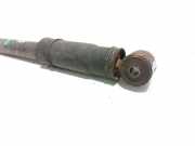 Stoßdämpfer rechts hinten Renault Trafic II Kasten (FL)