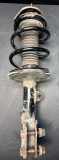 Stoßdämpfer vorne links TOYOTA AVENSIS Sedan (_T25_) 2.0 D-4D (CDT250_) 20334004 RG3186