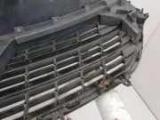 Vorderer oberer Gitter RENAULT MASTER III Furgon (FV) 2.3 dCi 135 FWD M0U022771