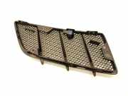 Gitter MERCEDES-BENZ GL (X164) GL 420 CDI 4-matic (164.828) 1648800105