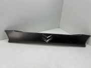 Gehäuse für Kennzeichenleuchte Citroen C-Crosser (VU, VV) 5817A064