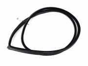 Türgummi links vorne BMW 3er Coupe (E92) 7119091