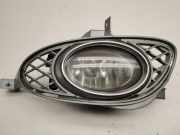 Blende Nebelscheinwerfer Mercedes-Benz CLS (C219) A2198851523