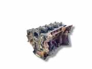 Motorblock FORD TRANSIT Furgon 2.0 TDCi BK2Q6015AA