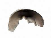 Innenkotflügel hinten links AUDI A6 (4B2, C5) 2.8 quattro
