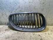 Vorderer oberer Gitter BMW 5 (E60) 530 d 7065702