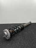Stoßdämpfer hinten links BMW 6 Gran Coupe (F06) 640 d 6789386