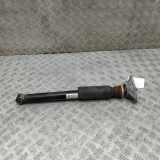 Stoßdämpfer hinten rechts