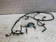 Schutzleiste Kotflügel Citroen DS5 () 2007336