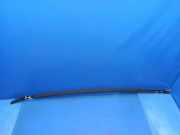 Dachleiste links MERCEDES-BENZ M (W163) ML 270 CDI (163.113) W163