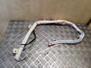 SRS Modul Dach links CITROËN DS4 1.6 HDi 110 9801890680