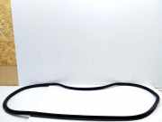 Dichtung für Koffer-/Laderaumklappe Toyota RAV 4 IV (A4)