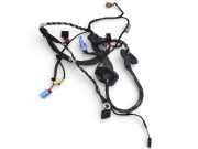 Kabel der vorderen linken Tür SKODA OCTAVIA III (5E3) 1.2 TSI 5E1971120H