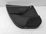 Türverkleidung links hinten Tesla Model S (5YJS)