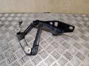 Motorhaubenscharnier links Audi TT (8J) 8J0823301H