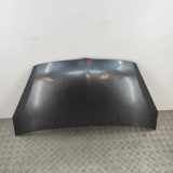 Motorhaube MITSUBISHI COLT VI (Z3_A, Z2_A) 1.5 DI-D MN161899