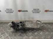 AGR-Kühler VW CADDY III Furgon (2KA, 2KH, 2CA, 2CH) 2.0 TDI 16V 4motion 03L131512CF