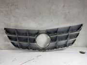 Gitter MERCEDES-BENZ B (W245) B 180 CDI (245.207) a1698881660