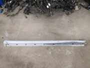 Abdeckung Seitenschweller aus Kunststoff rechts MERCEDES-BENZ A (W169) A 180 CDI (169.007, 169.307) A1696110408 1696110408