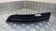 Kühlergrill unten VW Passat B7 Alltrack (36, B7) 3C0853665