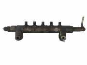 Einspritzleiste Nissan X-Trail I (T30) 6100