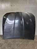 Motorhaube BMW 5 Touring (F11) 525 d 9241492