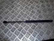 Gasfeder für Motorhaube BMW X1 (F48) 732941004