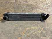 Ladeluftkühler Renault Trafic III Kasten (FG) 144960050